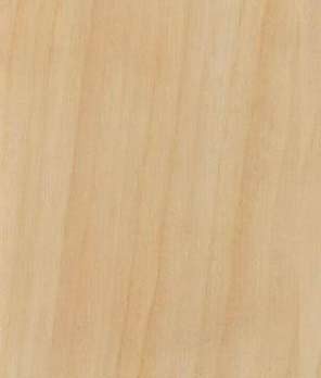 Береза біла