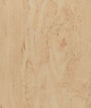 Береза піскова