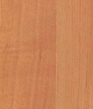 Вільха світла