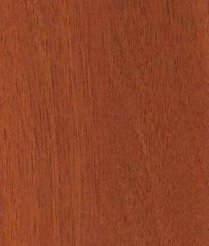 Горіх італійський